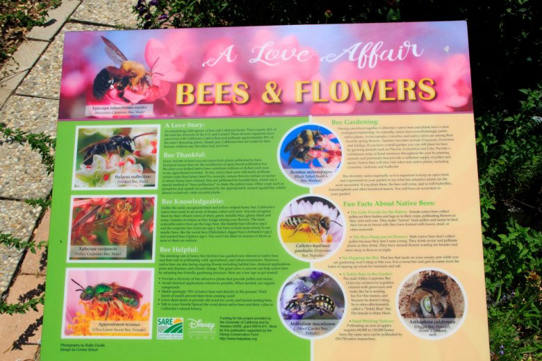 Bees-&-Flowers-better2 Bees-&-Flowers-better2